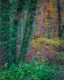 Herbstwald | Gönningen, BW, Deutschland