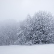 Fog and Snow | Raichberg, Albstadt, BW, Deutschland