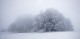 Fog and Snow | Raichberg, Albstadt, BW, Deutschland