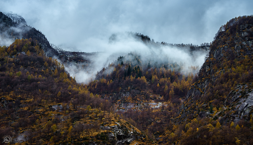 Yellow Fall | Valle Verzasca, Tessin, Schweiz